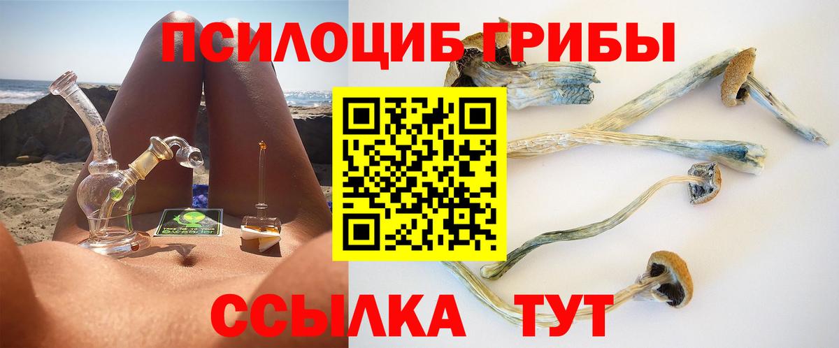 Северск  Галлюциногенные грибы Cubensis  Вход с VPN 