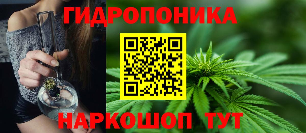 МАРИХУАНА VHQ  Бошки Шишки AK-47  Вход с VPN  Конопля конопля  Северск  Канабис SATIVA & INDICA 